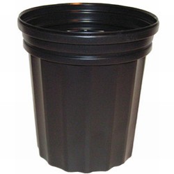 Planting Container: 3/4 gal (6" x 7" tall)