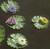 CobraCo: Mini Water Lily w/Pad Combo (Lavender)
