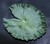 CobraCo: Floating Lily Pad (No Flower)