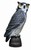 Ornamates: Great Horned Owl