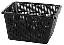 Planting Container: Square - Medium Basket (9"L x 9"W x 5"D)