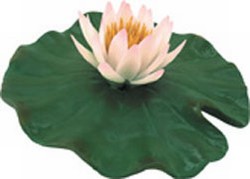 PondLife: Floating Water Lily with Spout