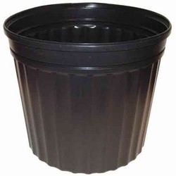 Planting Container: 2-gal (8