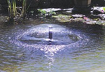 Cal Pump: Aqua-Dome FT-5 Fountain Head