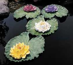 CobraCo: Floating Water Lily (White)